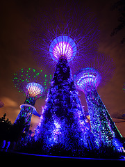 Image showing Bold Blue Lights from the Towers of Gardens by the Bay in Singap