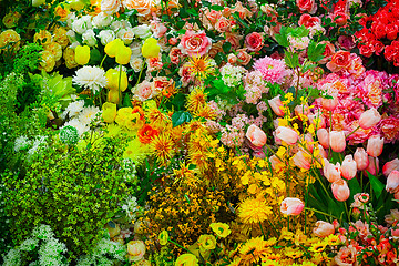 Image showing Artificial Flowers in a Shop