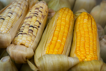 Image showing Boiled corn at a street vendor\'s stand