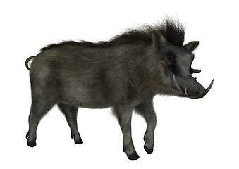 Image showing Warthog