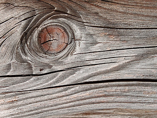 Image showing Old wooden board with annual rings