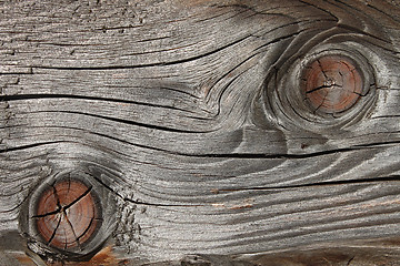 Image showing Old wooden board with annual rings