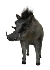 Image showing Warthog