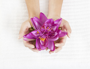 Image showing Women's hands with water lilies bloom