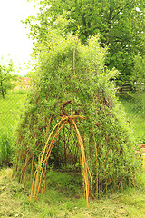 Image showing willow door to small children house