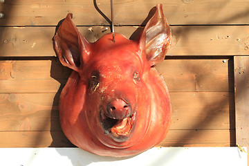 Image showing pig head