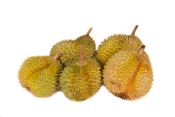 Image showing Tropical Fruits - Durian