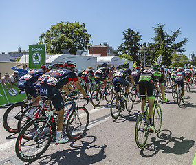 Image showing The Peloton - Tour de France 2015