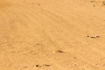 Image showing Desert sand texture