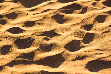 Image showing Desert sand texture