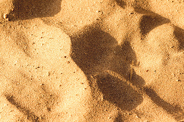 Image showing Desert sand texture