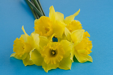 Image showing Jonquil flowers