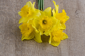 Image showing Jonquil flowers