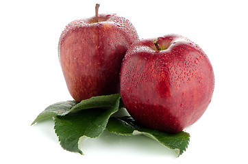 Image showing Ripe red apples