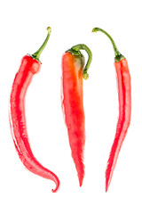 Image showing Red chilli peppers