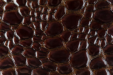 Image showing Brown snake skin background 