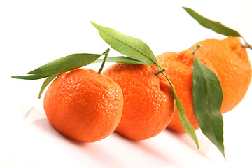 Image showing closeup mandarin raw