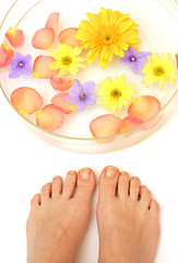 Image showing Feet and flowers