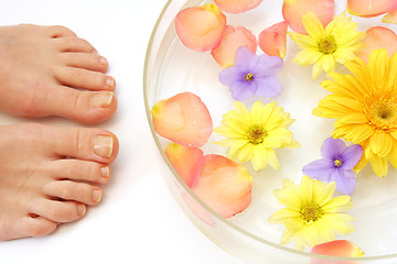 Image showing Feet and flowers