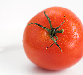 Image showing tomato