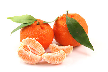 Image showing mandarins and slices