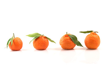 Image showing four mandarins front