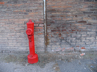 Image showing Fire hydrant