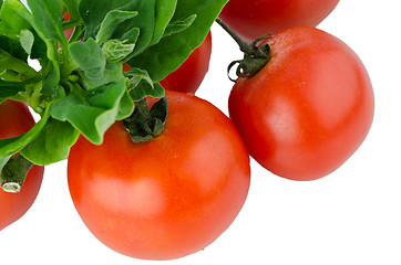 Image showing Red ripe tomato