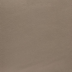 Image showing Beige leather