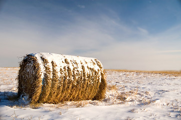 Image showing Frosted Hay Bale