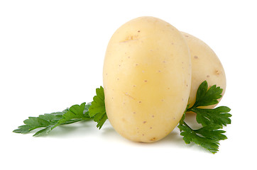 Image showing New potatoes and green parsley