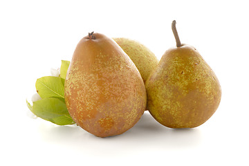 Image showing Three ripe pears