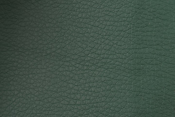 Image showing Green leather texture closeup