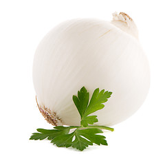 Image showing Onion and parsley 