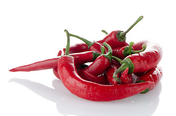 Image showing Red hot peppers