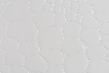 Image showing White vinyl texture