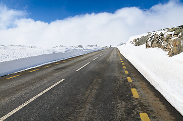 Image showing Snowy Road