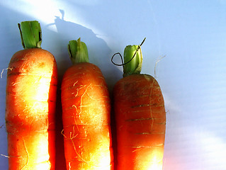 Image showing carrots