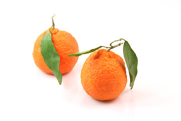 Image showing two mandarins isolated