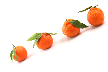 Image showing mandarins with copy space