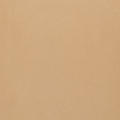 Image showing Beige leather