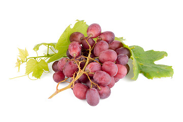 Image showing Bunch of red grapes