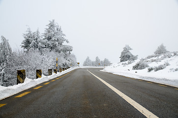 Image showing Snowy Road