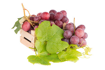 Image showing Bunch of red grapes