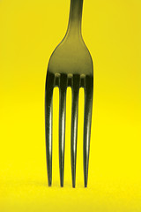 Image showing fork detail