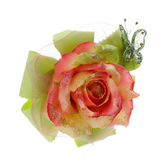 Image showing Beautiful orange rose flower