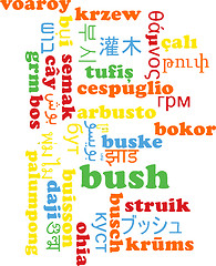 Image showing Bush multilanguage wordcloud background concept