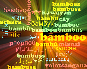 Image showing Bamboo multilanguage wordcloud background concept glowing