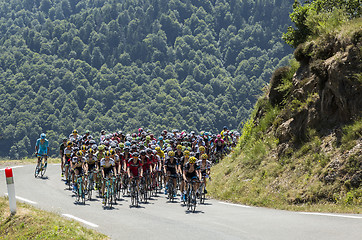 Image showing The Peloton on Col d'Aspin - Tour de France 2015