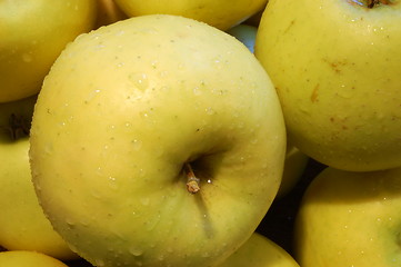 Image showing apples wet